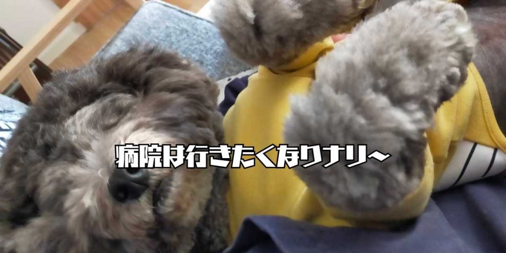 良い病院と悪い病院のアイキャッチ