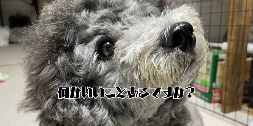 首をかしげるアイキャッチ