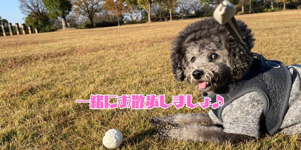 お散歩時間のアイキャッチ