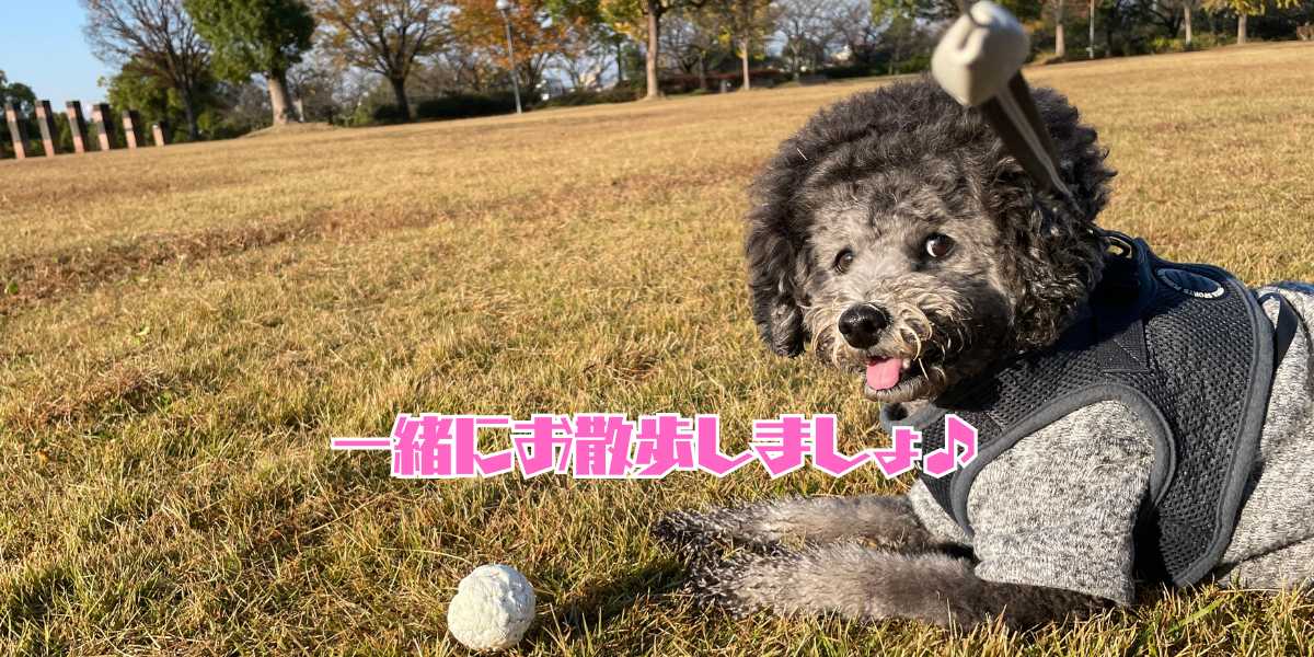 お散歩時間のアイキャッチ