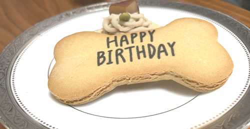 トイプードルシルバーの誕生日ケーキ