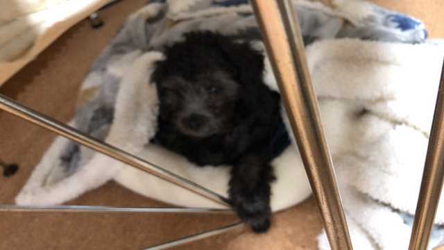 幼いころのなつき君