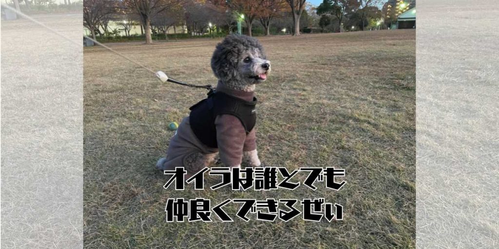 飼いやすい犬種のアイキャッチ