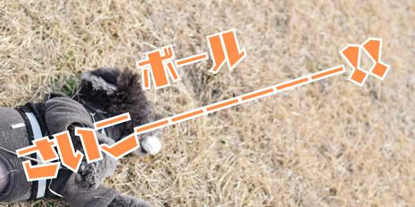 ボールのアイキャッチ