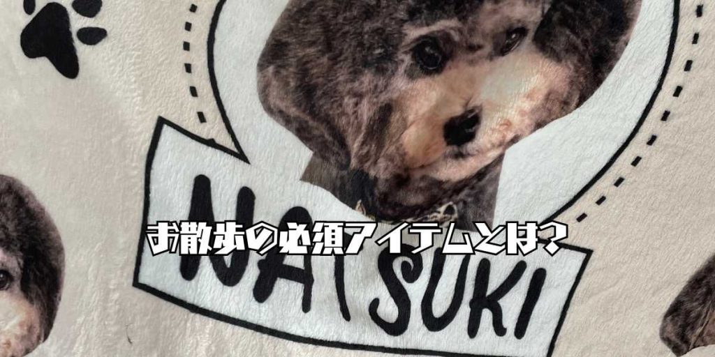 お散歩の持ち物のアイキャッチ