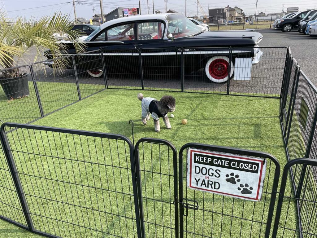 V8cafeのドッグラン