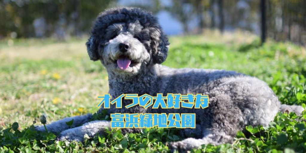 富浜緑地公園のアイキャッチ