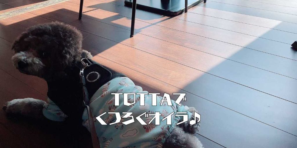 TOTTAのアイキャッチ