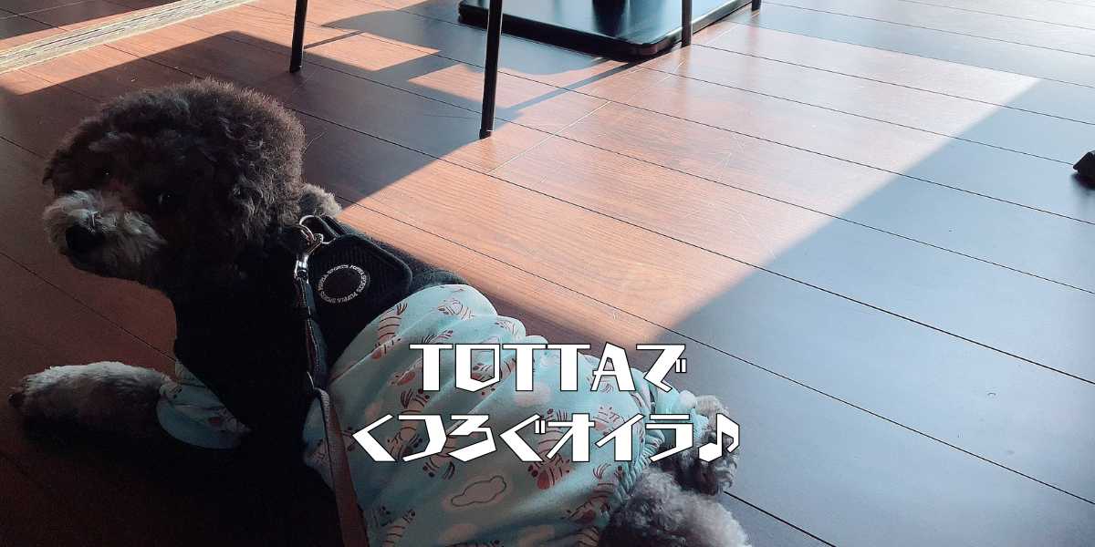 TOTTAのアイキャッチ