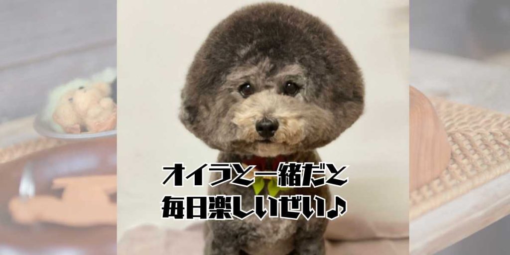 ブログのアイキャッチ