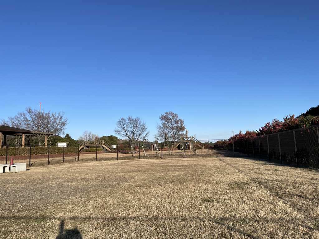 富浜緑地のドッグラン