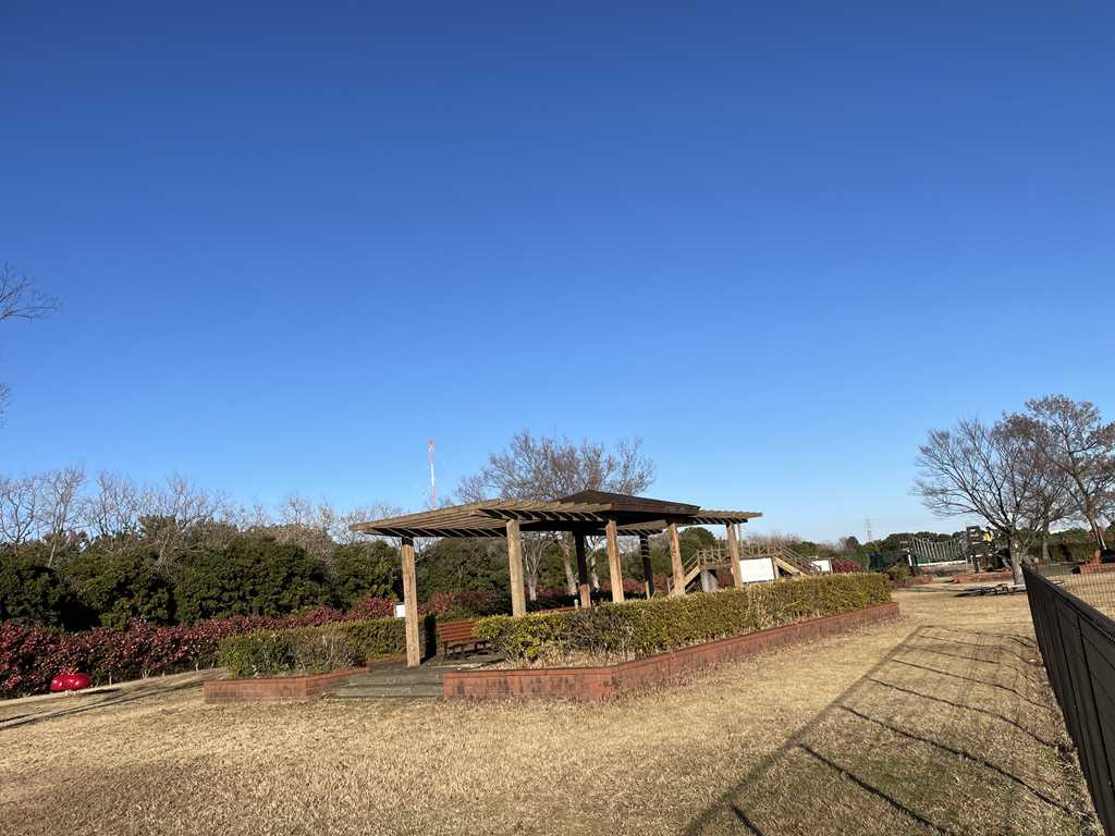 富浜緑地の様子