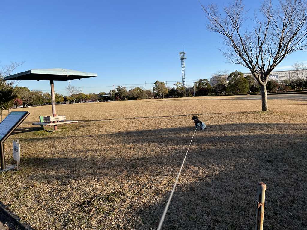 グランドゴルフ場