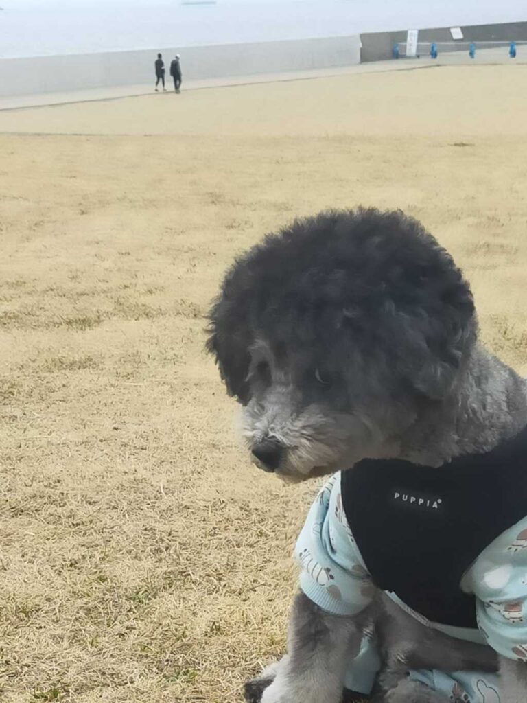 表情豊かななつき君