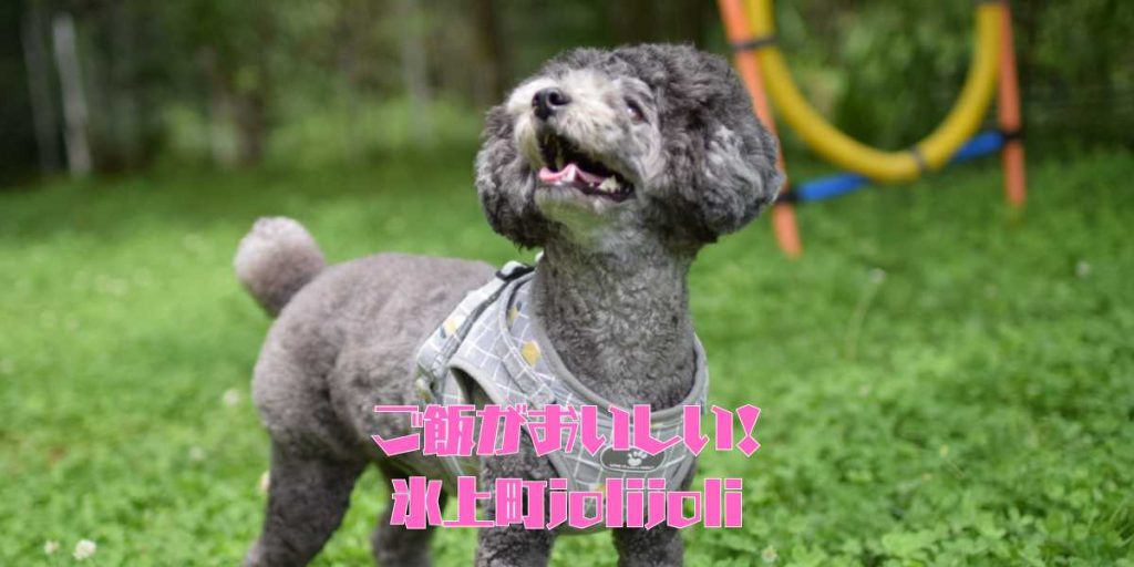 jolijoliのアイキャッチ