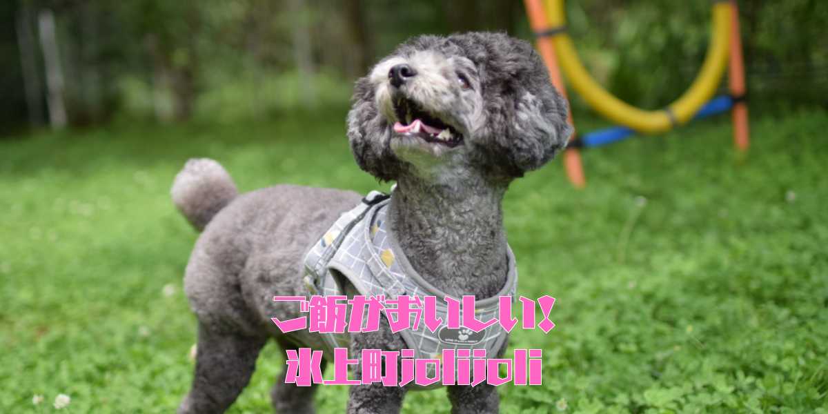 jolijoliのアイキャッチ