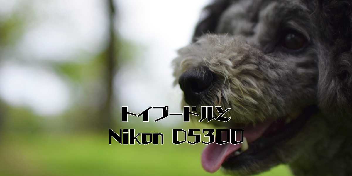 D5300のアイキャッチ