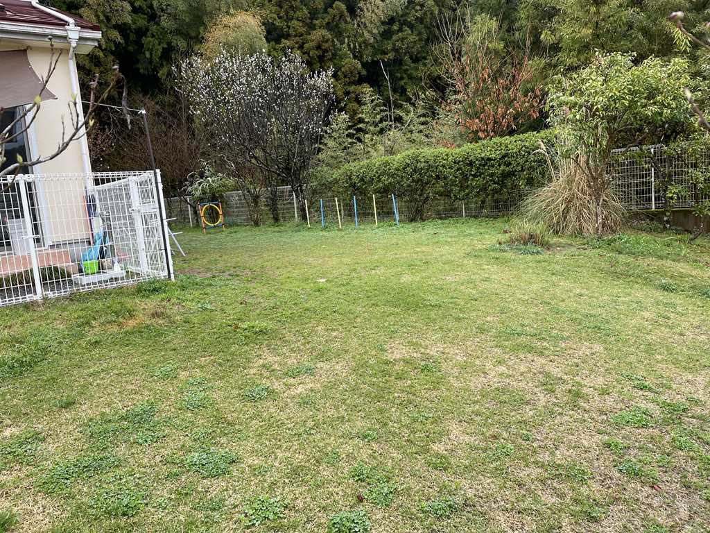 jlijoliドッグラン