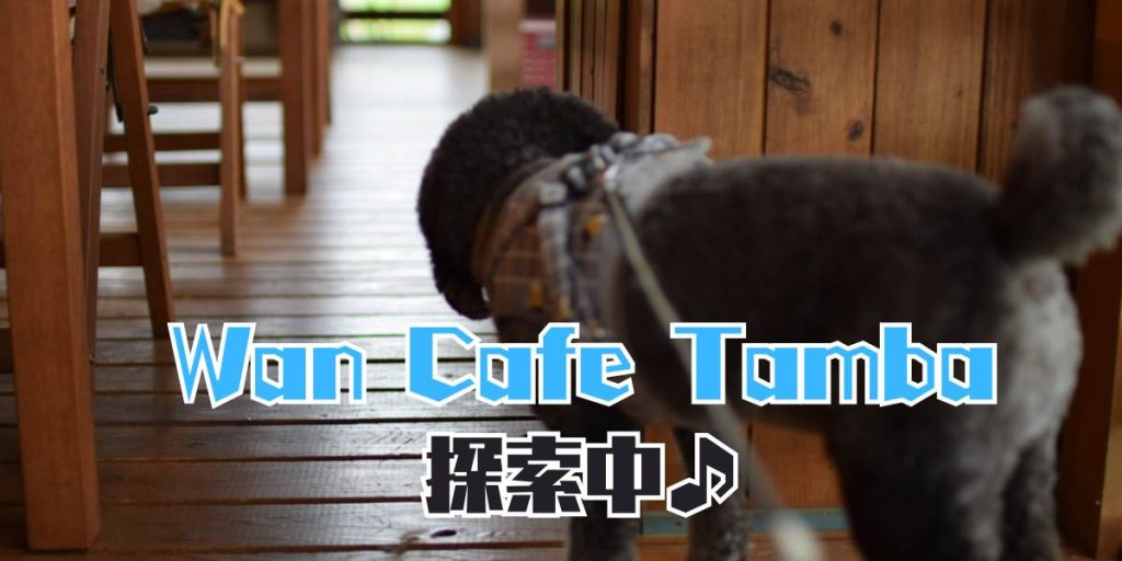 Wan Cafe Tambaのアイキャッチ