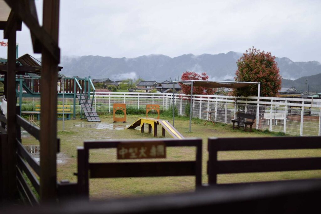 ワンカフェ丹波ドッグラン2