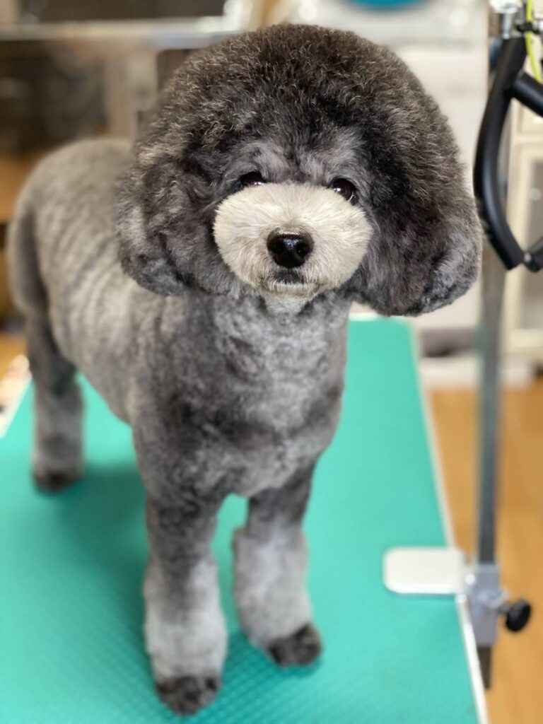 さっぱり整ったなつき君