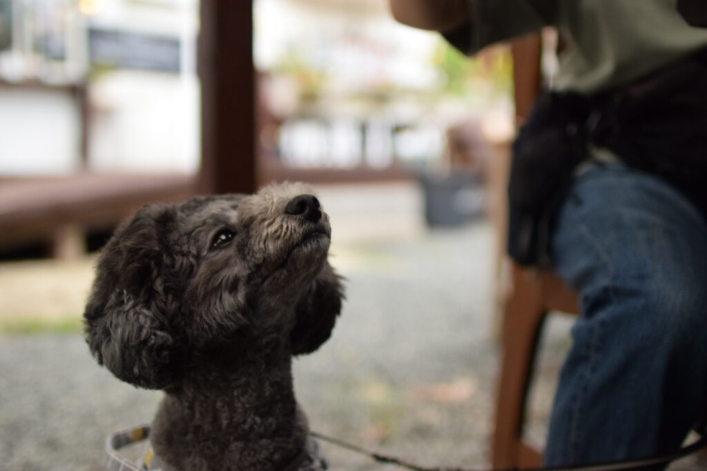 お腹空いたなつき君