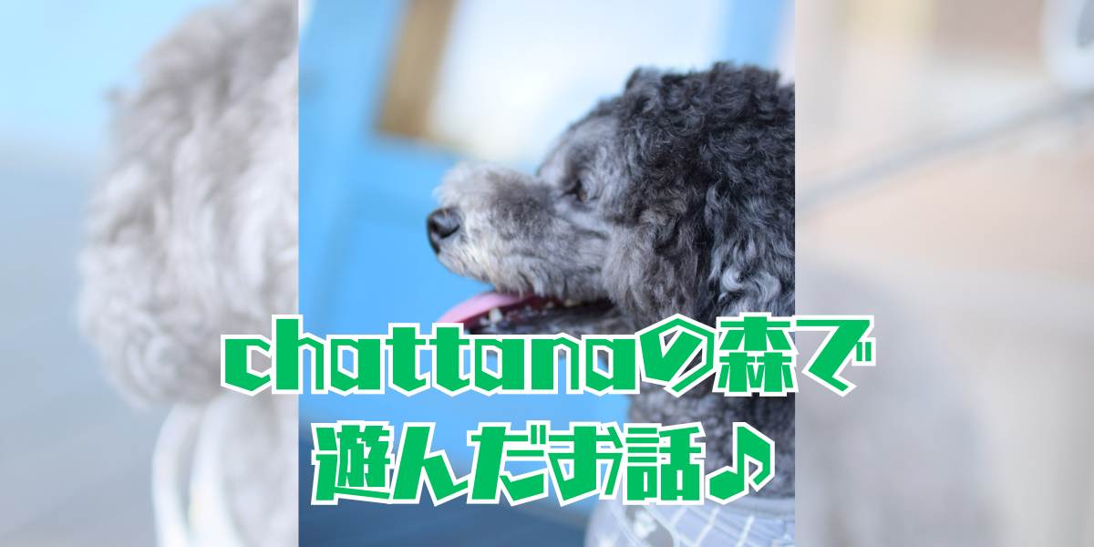 chattanaの森のアイキャッチ