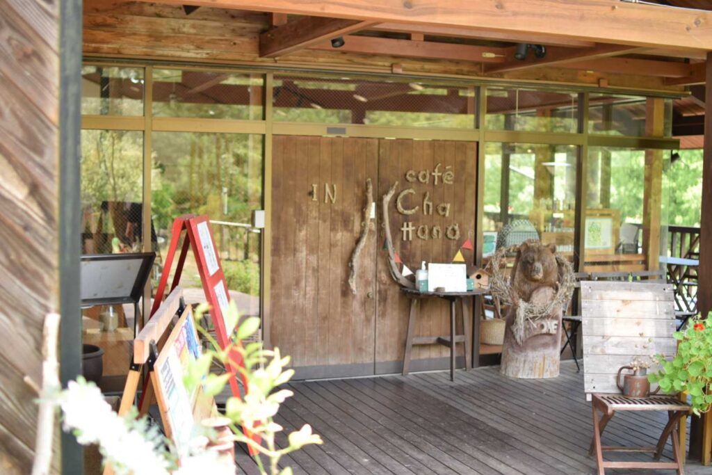 チャッタナの森の入り口