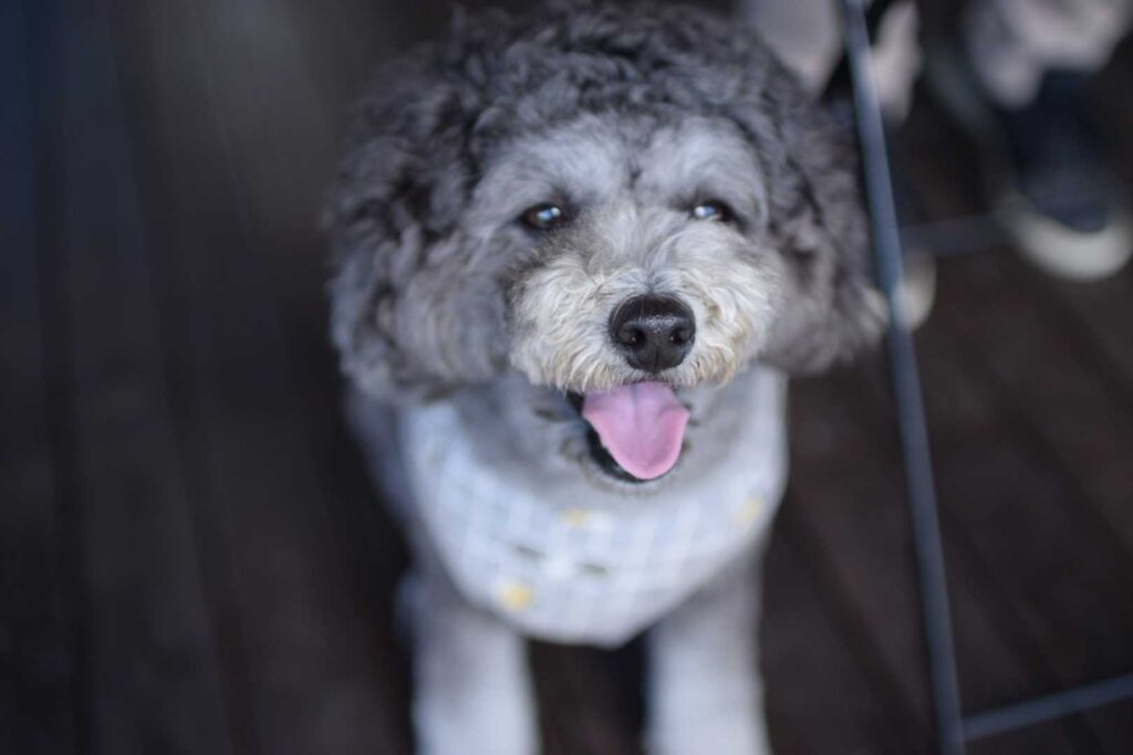 ご機嫌ななつき君