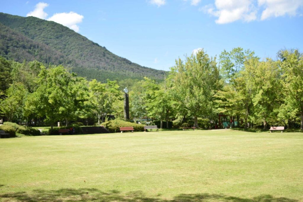 チャッタナの森の広場