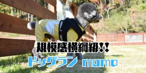 ドッグランマモのアイキャッチ