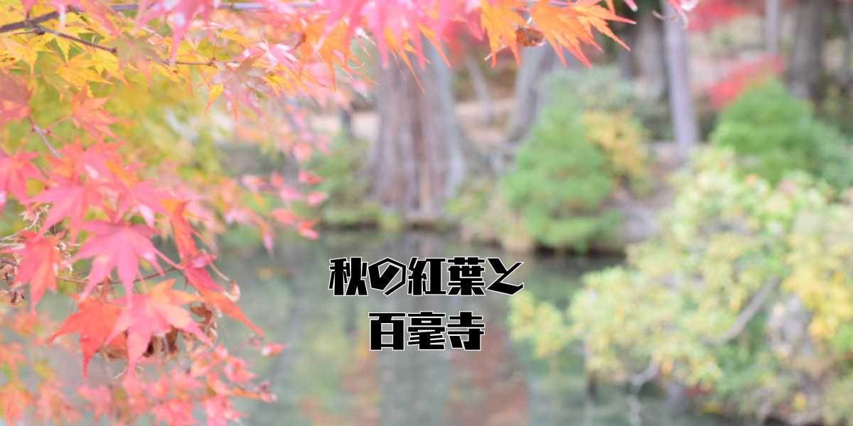 百毫寺のアイキャッチ