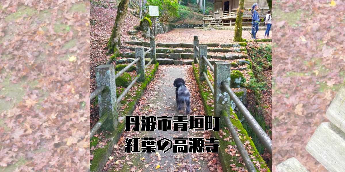 高源寺のアイキャッチ