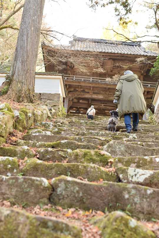 階段を上るなつき君