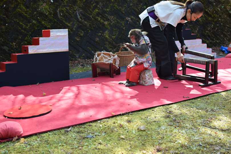 芸達者なハルちゃん