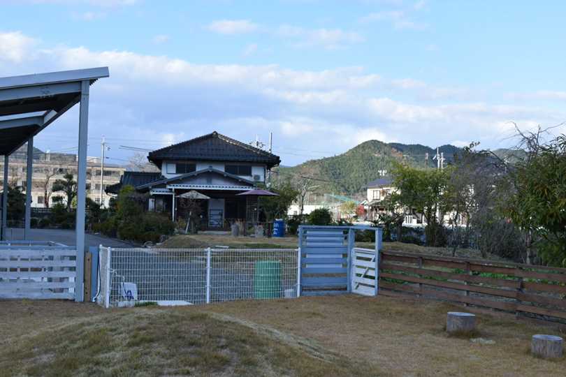 アジュンコーヒーのドッグランからの風景