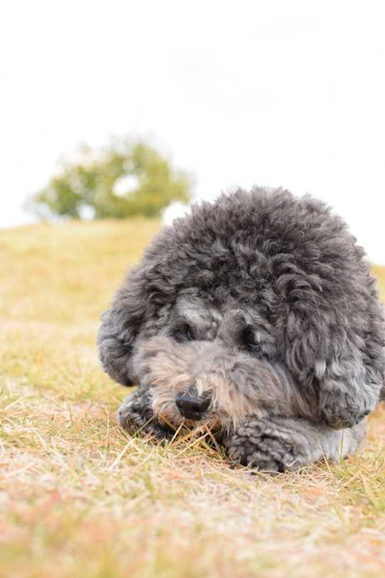 ボールで遊ぶなつき君
