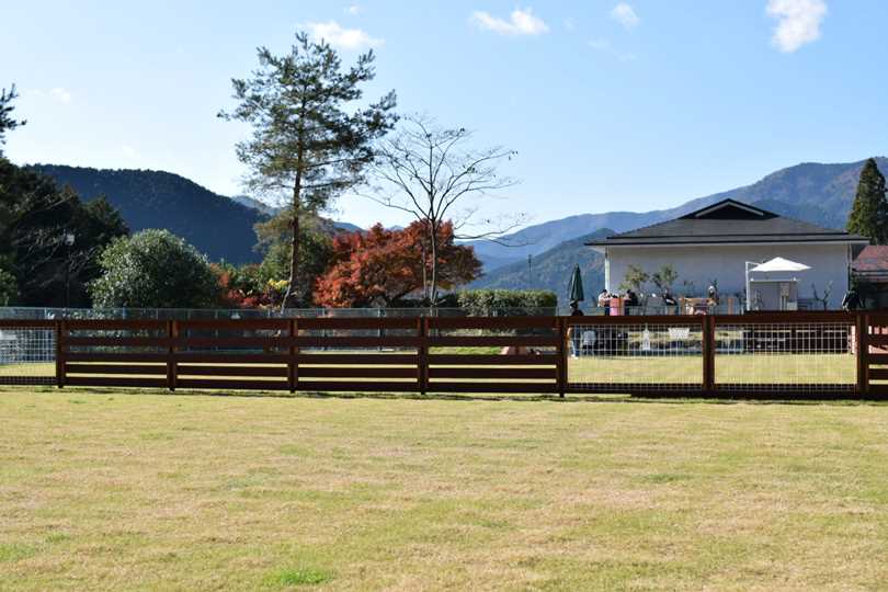 マモのドッグラン