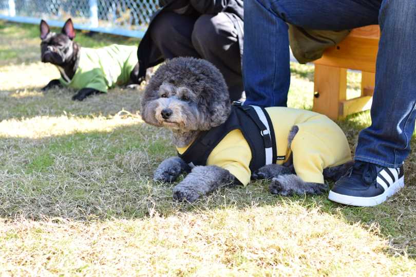 お友達との記念撮影