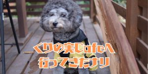 くりの実Cafeのアイキャッチ