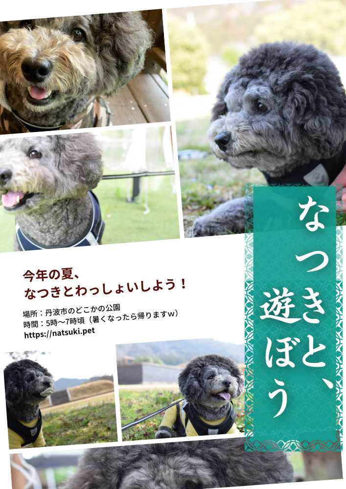 なつきTシャツのデザイン