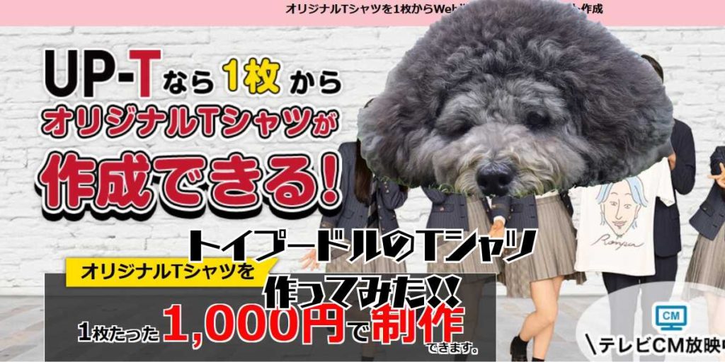 トイプードルのＴシャツのアイキャッチ