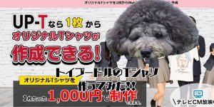 トイプードルのＴシャツのアイキャッチ