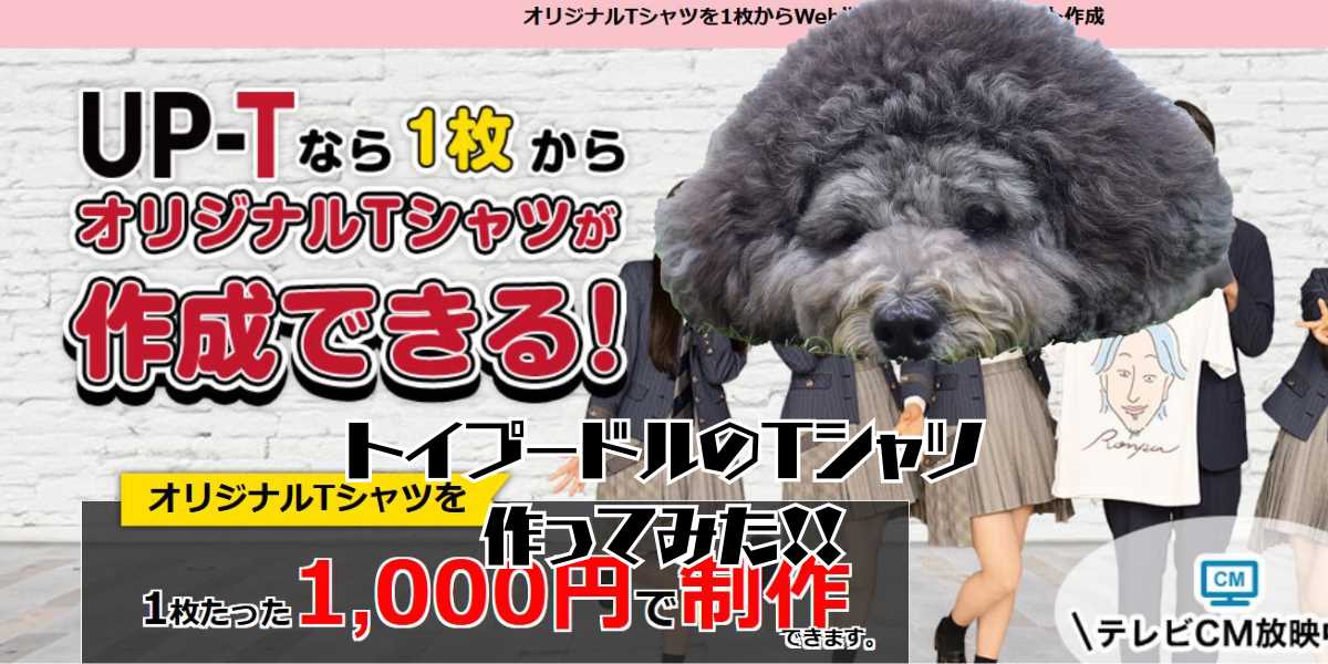 トイプードルのＴシャツのアイキャッチ