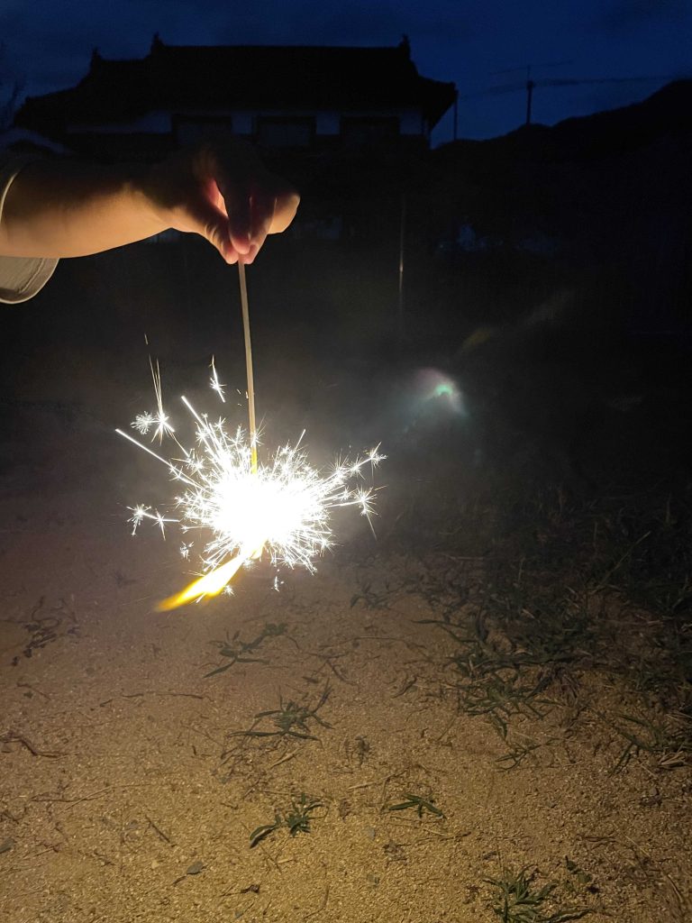 トイプードルと花火2