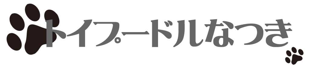 アフロのトイプードルなつき