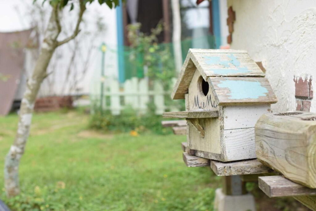 ムムの森のドッグラン