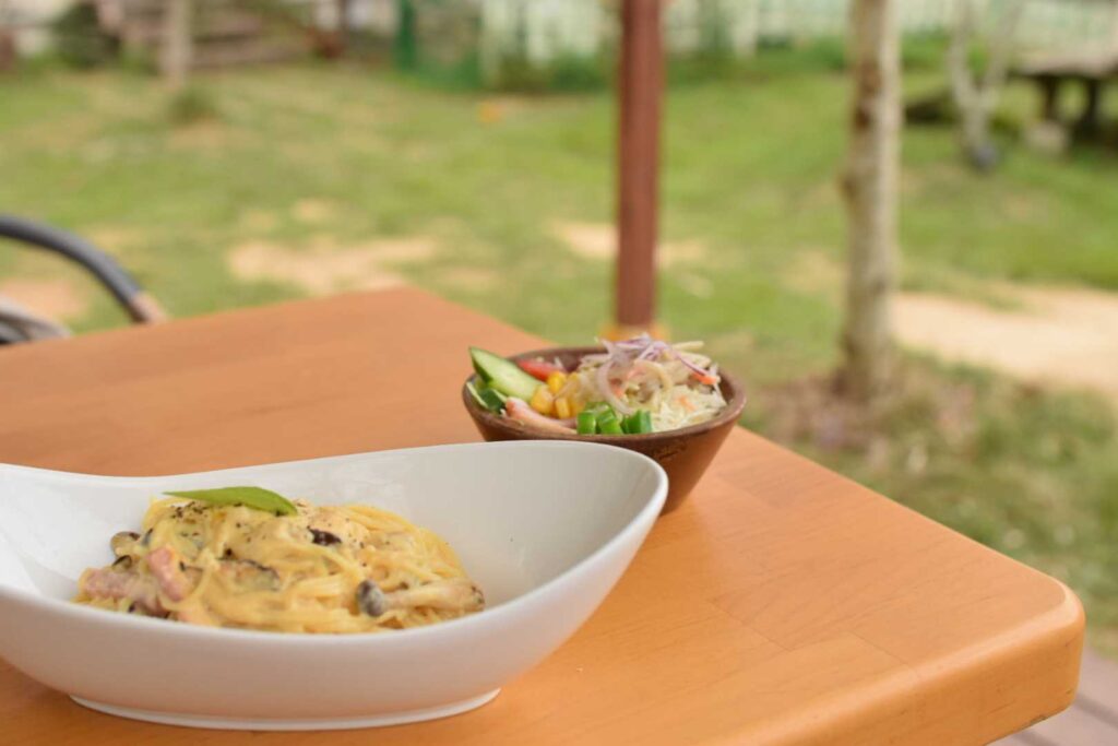 ムムの森の豆乳カルボナーラランチ