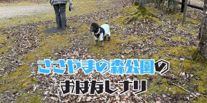 ささやまの森のアイキャッチ