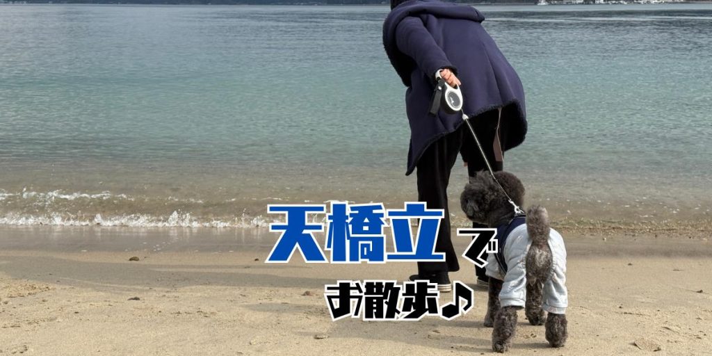 天橋立のアイキャッチ